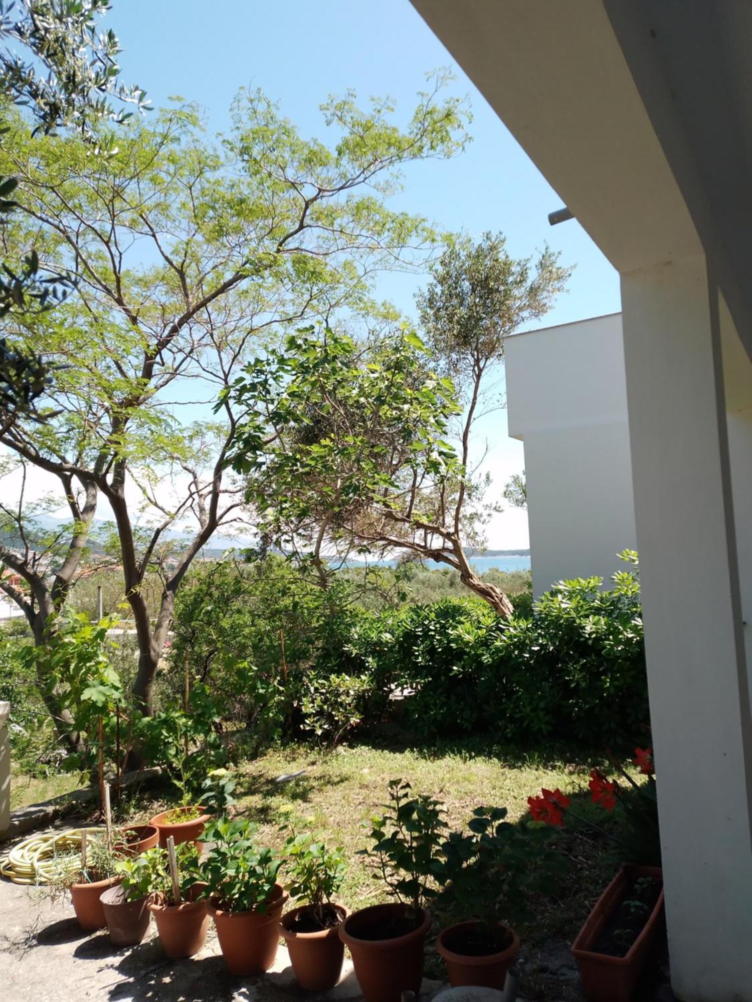 Ribaric Villa Banjol Exteriör bild